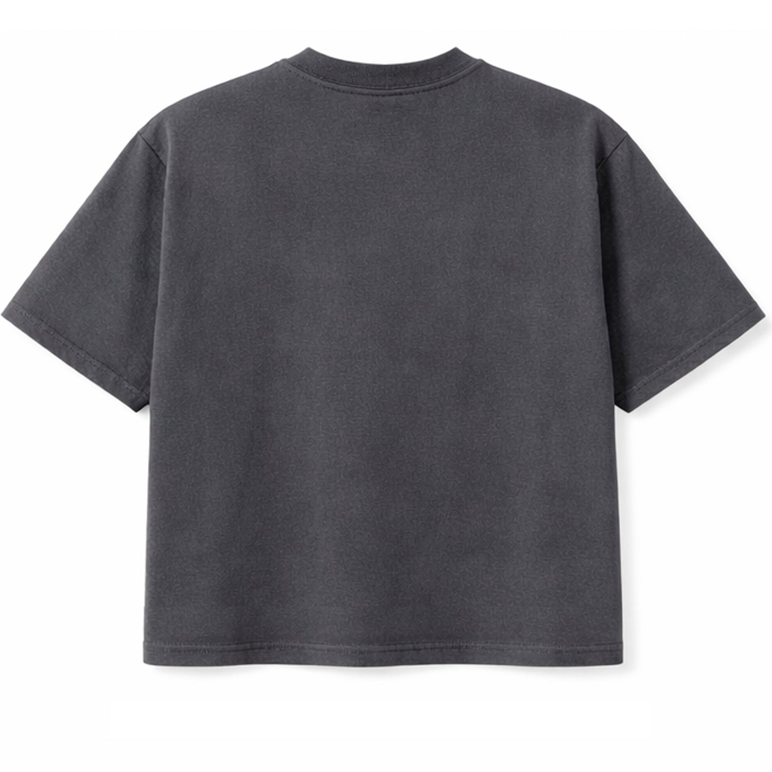 Camiseta Boxy WNC lisa Cinza